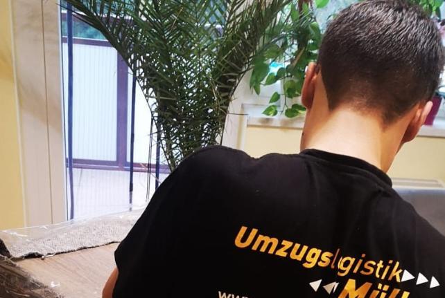Laborumzug Königshain stressfrei umziehen 