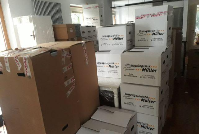 Labor Umzug preise erfahren in Königshain